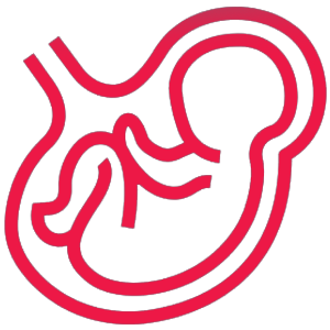 fetal-medicine-icon